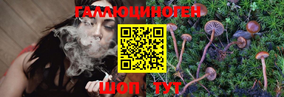Галлюциногенные грибы Magic Shrooms Златоуст